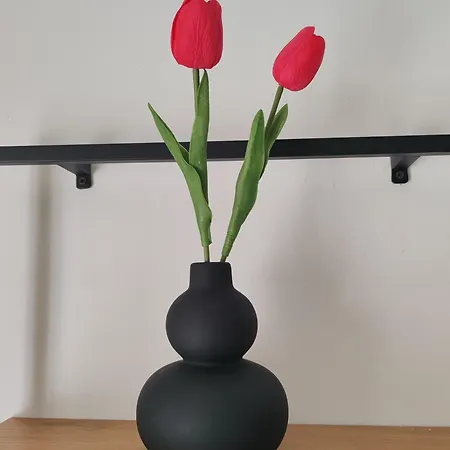 아파트 Dimora Urbana *